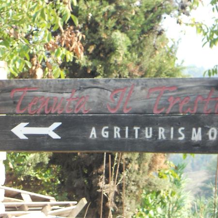 Tenuta Il Tresto Poggibonsi Exteriér fotografie