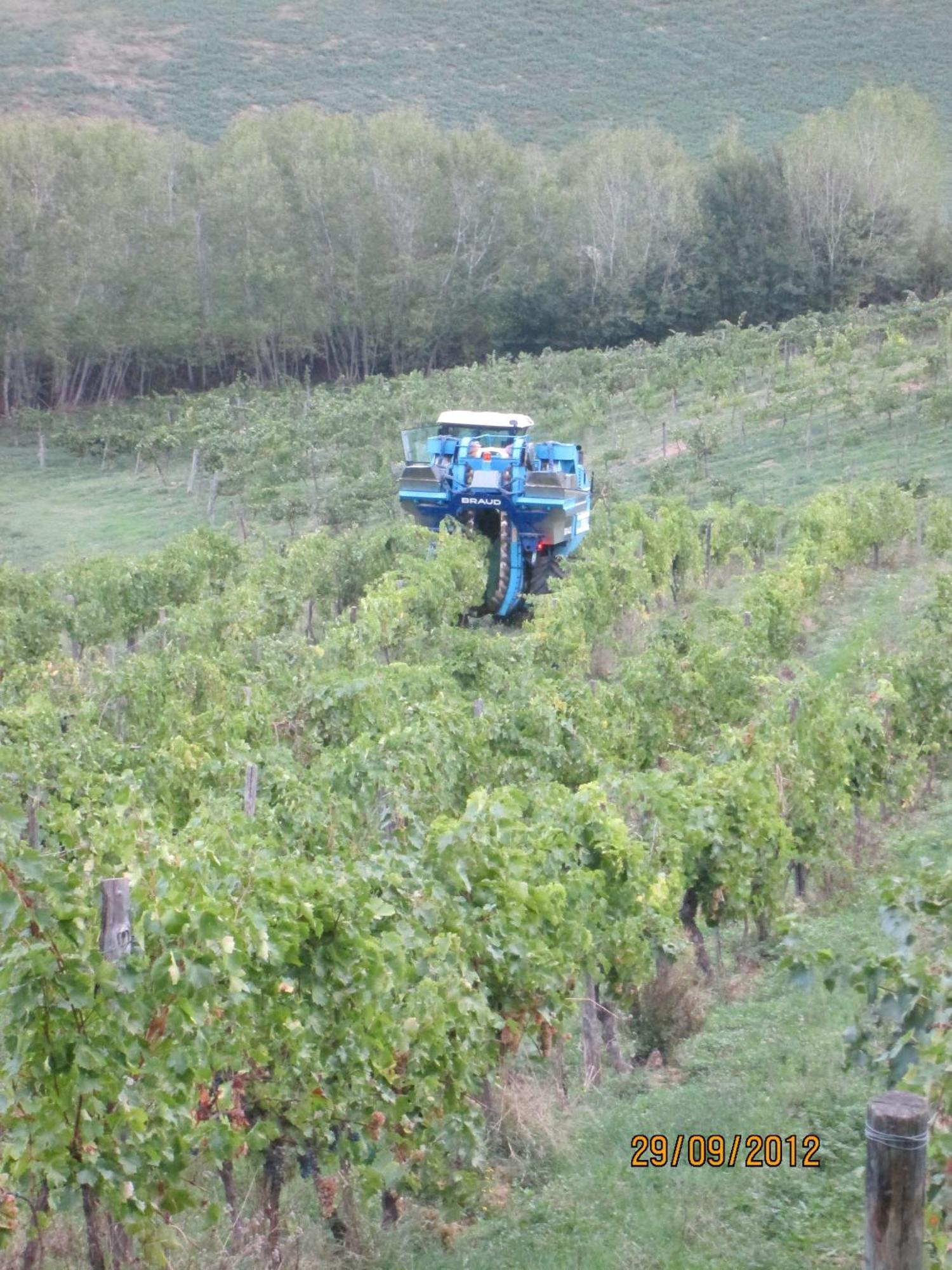 Tenuta Il Tresto Poggibonsi Exteriér fotografie