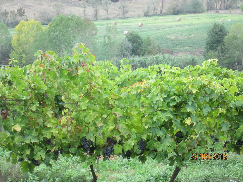 Tenuta Il Tresto Poggibonsi Exteriér fotografie