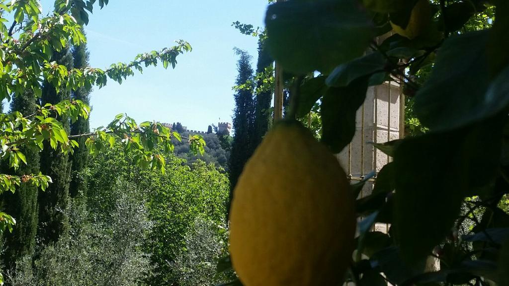 Tenuta Il Tresto Poggibonsi Exteriér fotografie