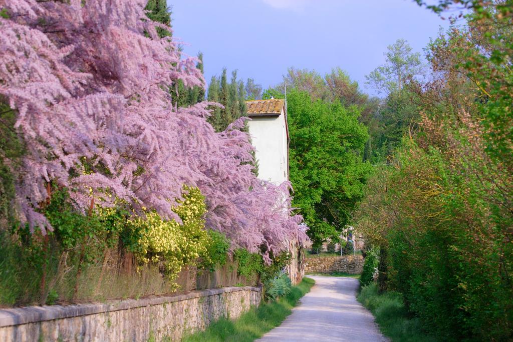 Tenuta Il Tresto Poggibonsi Exteriér fotografie