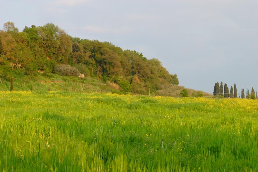 Tenuta Il Tresto Poggibonsi Exteriér fotografie