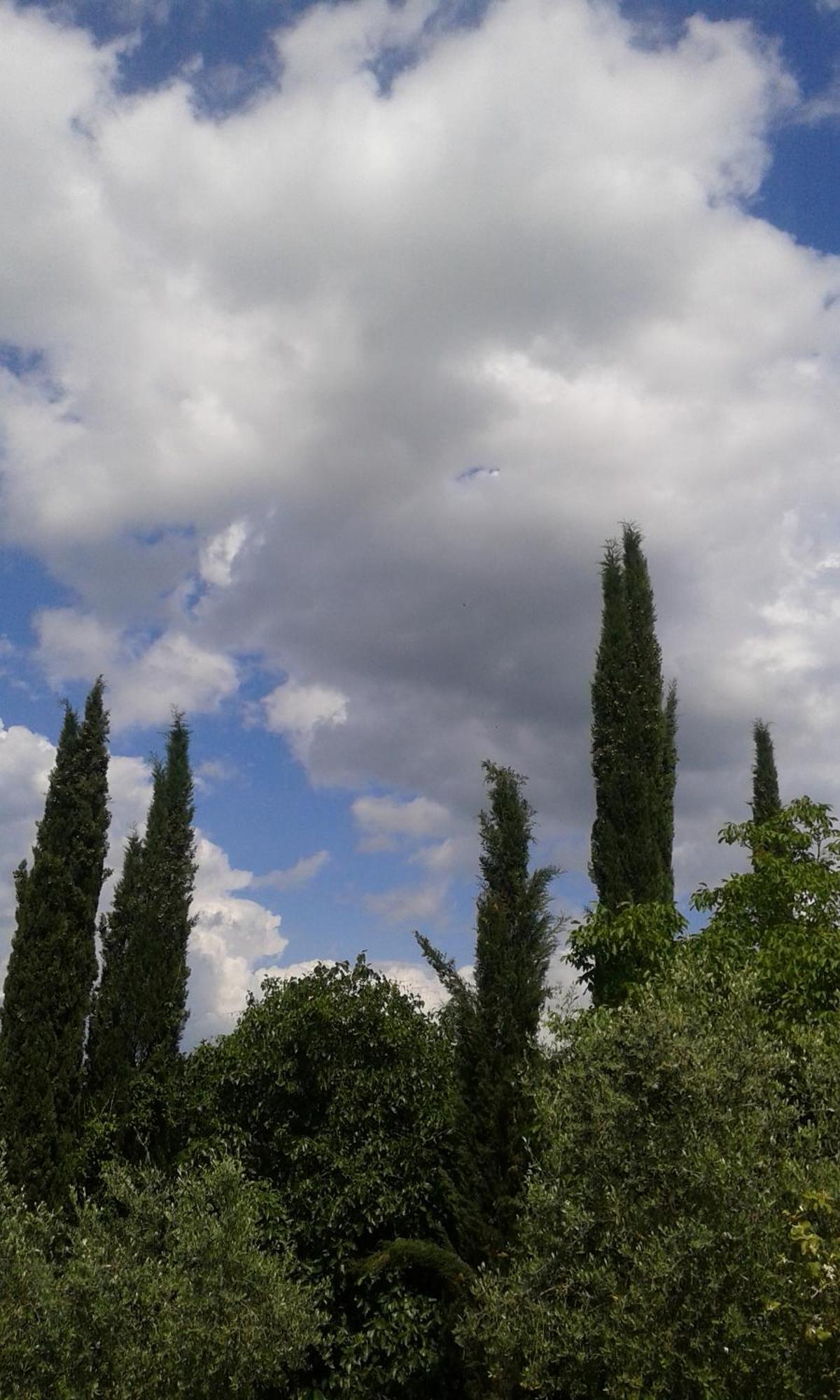 Tenuta Il Tresto Poggibonsi Exteriér fotografie
